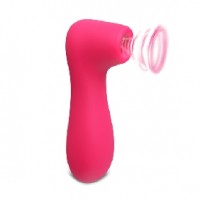 Clitoral Stimulator 12 Speeds Silicone Rechargeable PINK